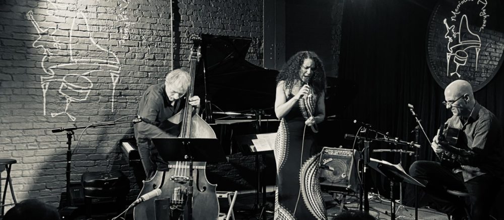 Photo of Aimée Allen (vocals, songwriter) and members of her trio Francois Moutin (bass) and Tony Romano (guitar) on tour at Merrimans' Playhouse in South Bend, Indiana. Aimée Allen’s tour was supported by a Jazz Road Tours grant. Photo by Mary Merriman, Merrimans' Playhouse.